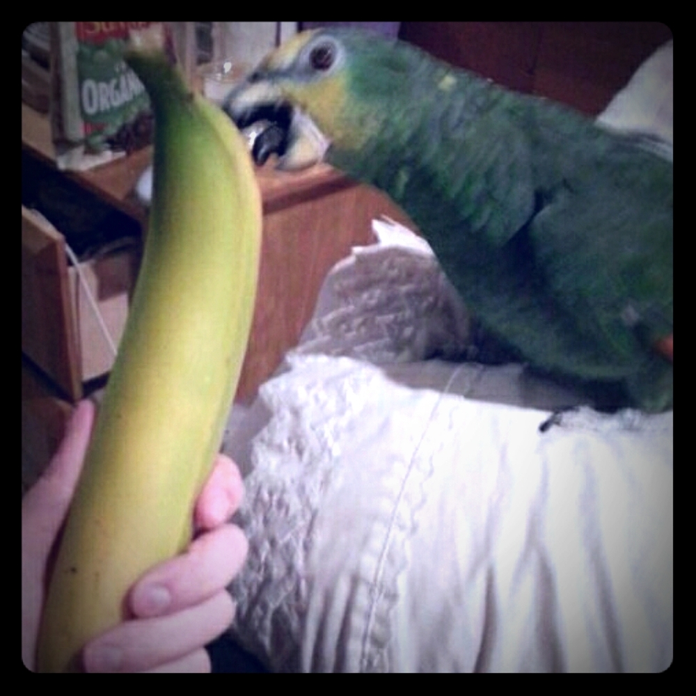 Meet your Posher, Mary